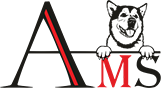 my-logo